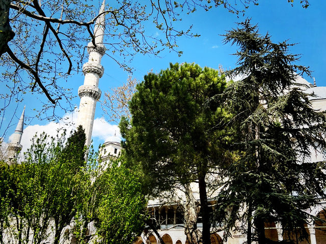 🇹🇷 伊斯坦堡三日遊心得分享｜傳統 ✨× 現代的完美融合