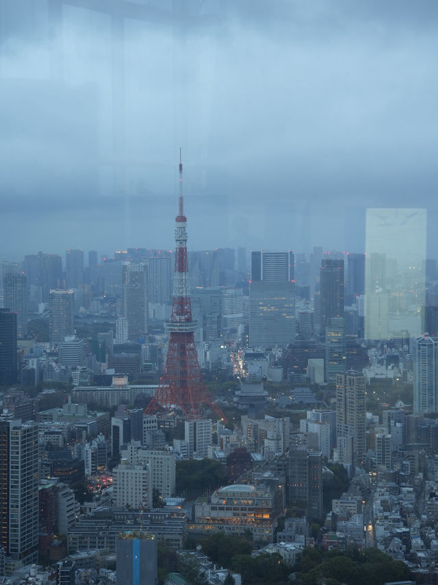 Tokyo | The best place to enjoy Tokyo view 