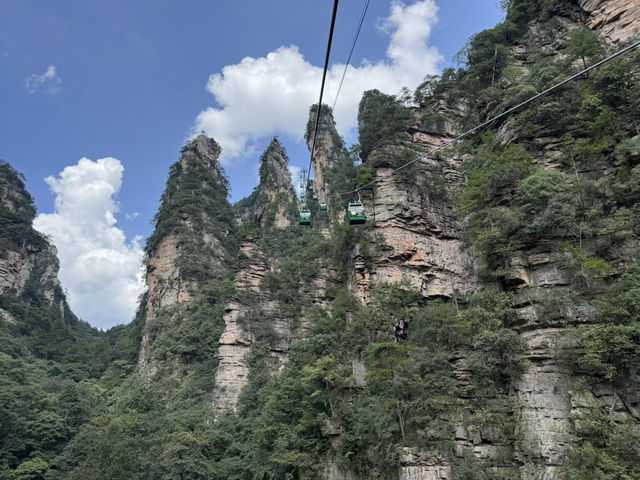 Two days in Zhangjiajie National Forest park.