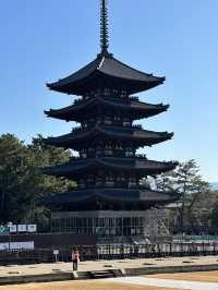 Step into Nara’s Spiritual Heart: Discover Kōfuku-ji’s Timeless Treasures 