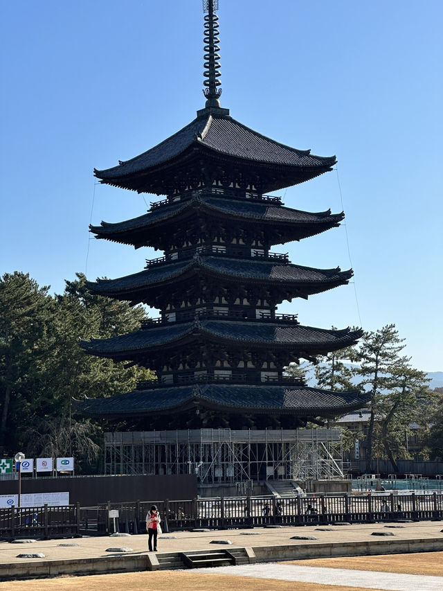 Step into Nara’s Spiritual Heart: Discover Kōfuku-ji’s Timeless Treasures 