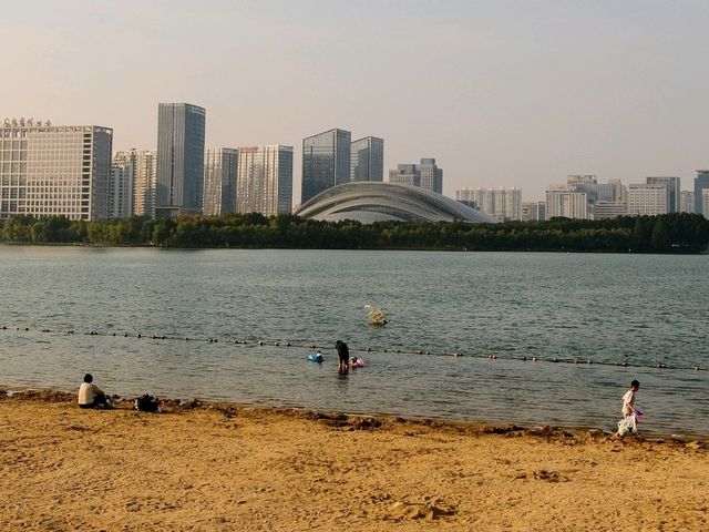 Swan Lake, Hefei Beach Edition 🦢🌅