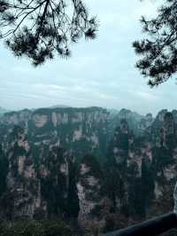 I Walked in the World of AVATAR & Found Heaven's Gate