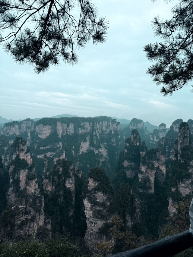 I Walked in the World of AVATAR & Found Heaven's Gate