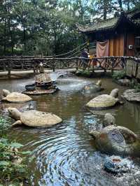 По следам Аватара: 4 дня в Китае