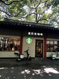 Hangzhou in One Day: What I Wish I Knew Before Going