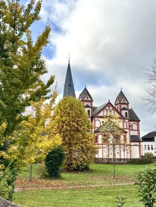 Merzig Zoo Guide🦙