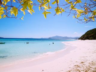 春季逃逸：科隆的碧綠夢境綻放