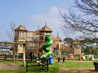 Rare Breeds and Rural Play. The Lively Charm of Finkley Down Farm