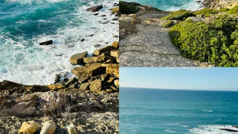 Portugal: Natural das Pegadas de Dinossáurios. — traveler post in Castelo