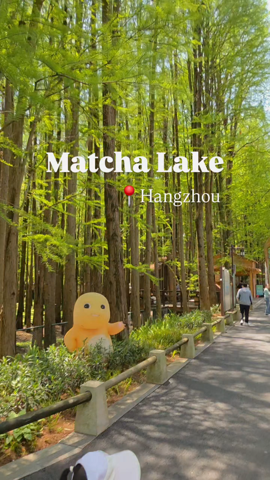 Have you ever seen a forest growing in water? This is Matcha Lake in Hangzhou – the perfect 1-hour city escape 🍃 Kayak, greenery, and a whole lot of vibes. Save it so you don't forget!

How to get to Matcha Lake (青山湖):
🚇 Metro: Line 16 → Qingshanhu Station (青山湖站), Exit C
🚶♀️ Then a 10-15-minute walk through the park and you're there.
Or Babaili Station (八百里) is also a good option; it's closer to the free trails.
🚕 Taxi from central Hangzhou: ~40-60 minutes, about 100-200 RMB
⏰ Hours: The park is open 24 hours, but it's best to go between 8:00 AM and 10:00 AM – before the crowds and fog clears.
#hangzhou 