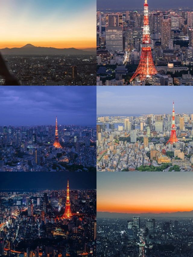 Tokyo's best night view shooting location 🌃 Check in for stunning sunset and night views! |||