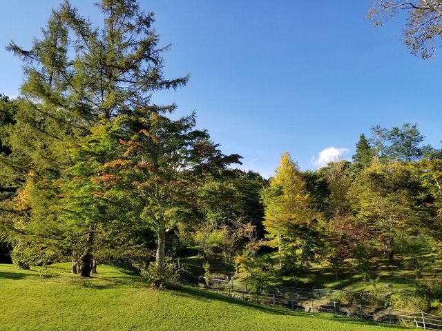 Karuizawa's light and shadow