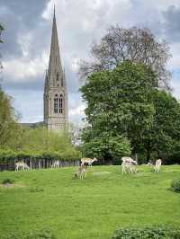 Clissold Park - London