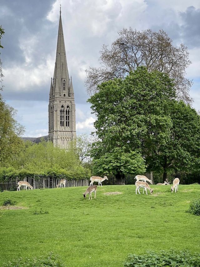 Clissold Park - London