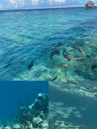 Mahe Island Travel Guide 1