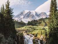 🏔️Mount Rainier National Park | Accidentally stumbled into Heidi's garden