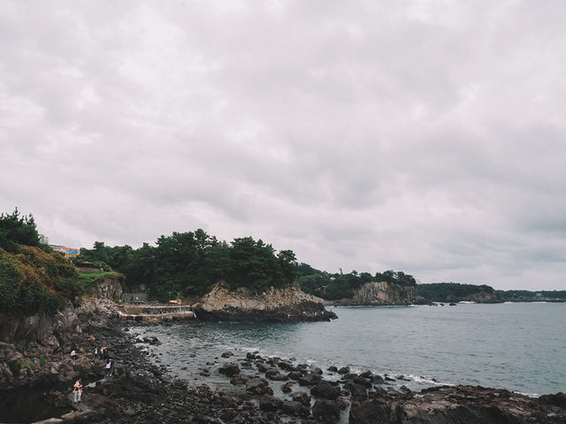 遊濟州🇰🇷西歸浦市海濱藝術公園
