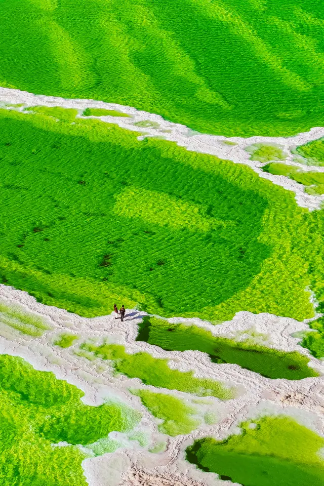 這裡像打翻了青蘋果汁！青海航拍太好看了！