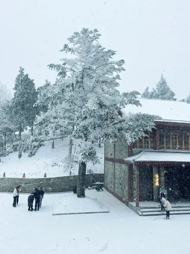 Lushan Snow Scenery| This winter, let's meet at Lushan to see the snow scenery