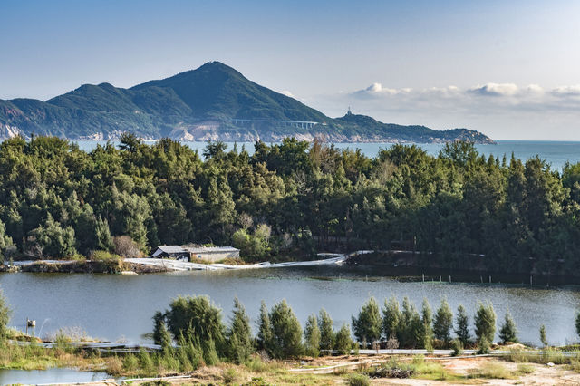 不在歐洲勝歐洲，東山島這片酒店門口的森林真的太好看了