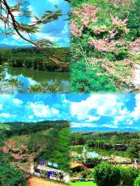 屯昌夢幻香山芳香文化園一日遊攻略