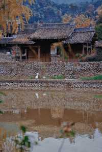 初冬的嶼北,在質樸之外,是斑斕的色彩