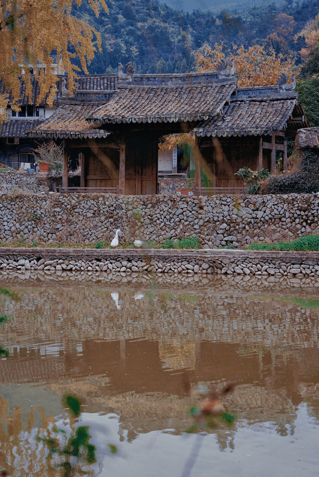 初冬的嶼北,在質樸之外,是斑斕的色彩 初冬的嶼北,在質樸之外,是斑斕的色彩