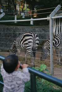 親子好去處溫州景山動物園爬山看動物