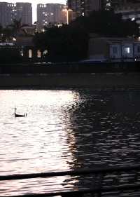 夕陽西下，東山湖公園的晚霞和日落，讓你感受大自然的美麗