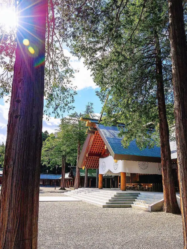Hokkaido Shrine II from the hustle and bustleStunning shrine