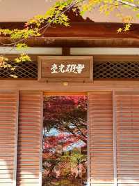 岚山秋楓