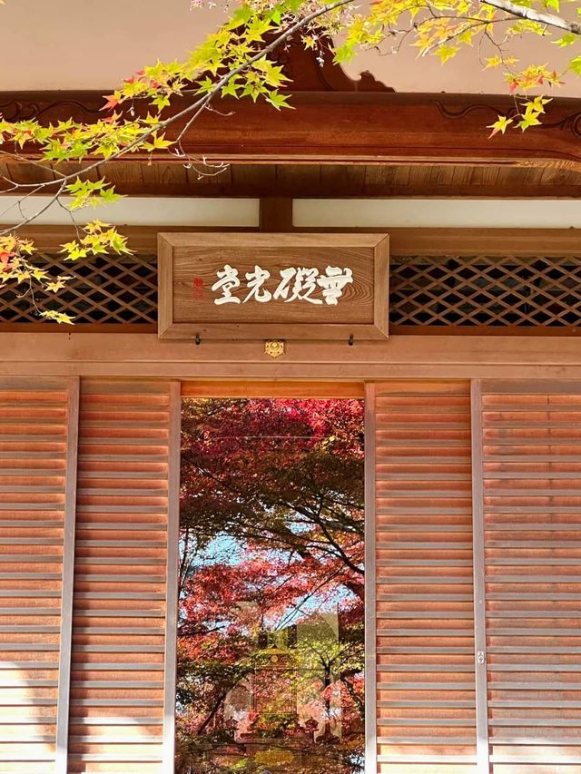岚山秋楓