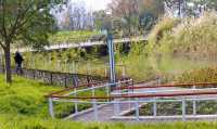 絕美濕地公園自然主義的天堂