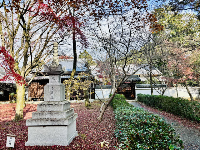 京都慢遊記