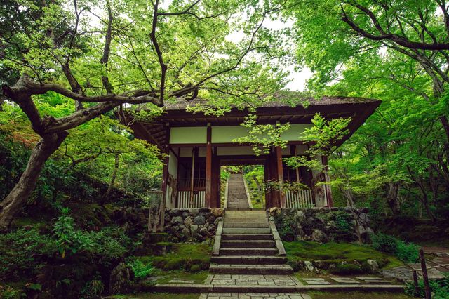 京都錦市場：美食與旅遊購物的天堂