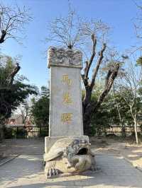 西安周邊馬嵬驛一日遊，逛民俗村參觀茂陵博物館，簡直不要太豐富