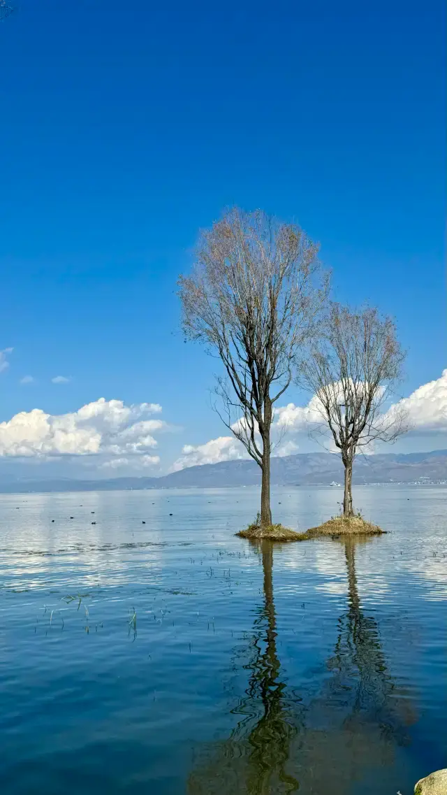 Cycling around Erhai Lake in Dali is the most cost-effective!