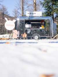 原本以為浙西天池雪景已經夠美了！