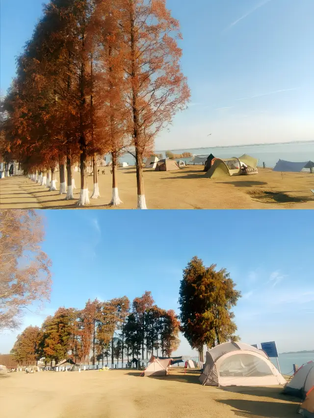 It's not Erhai, it's Dianshan Lake in Shanghai!
