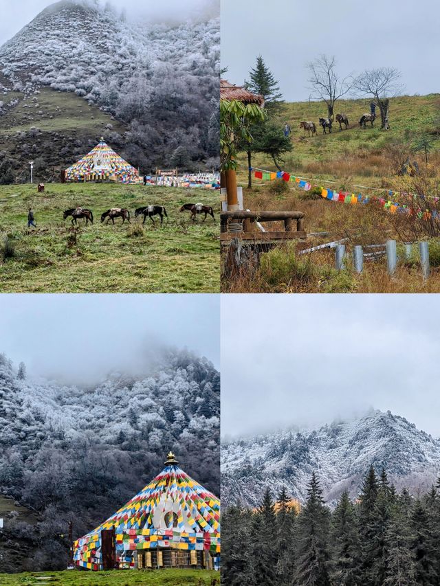 神木壘最全旅遊攻略，感受獨特原始風情