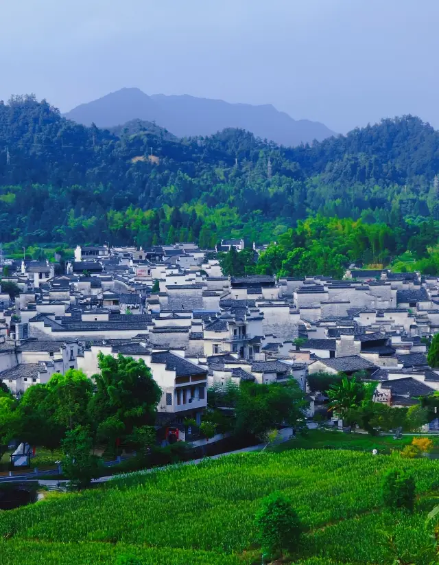 Xidi Ancient Village - half earthly life, half teeming with tourists!