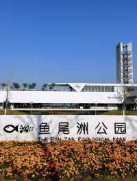 南昌有座“漂浮森林”層林盡染美如畫