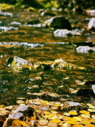 Global Autumn Chase | Colorado | Maroon Bells Autumn Secret Land