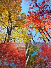 賞秋！不可錯過的美景！吉林•紅葉谷攻略！奉上！