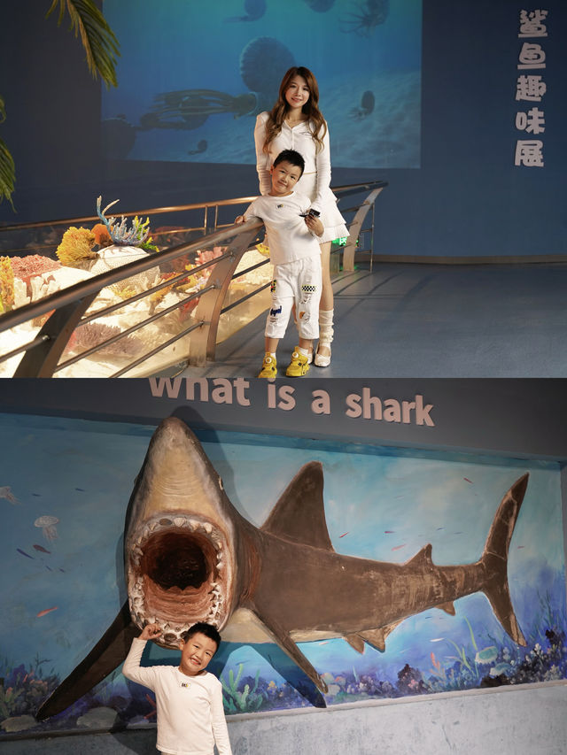 藍色~去看鯊魚咯baby shark，gogogo！