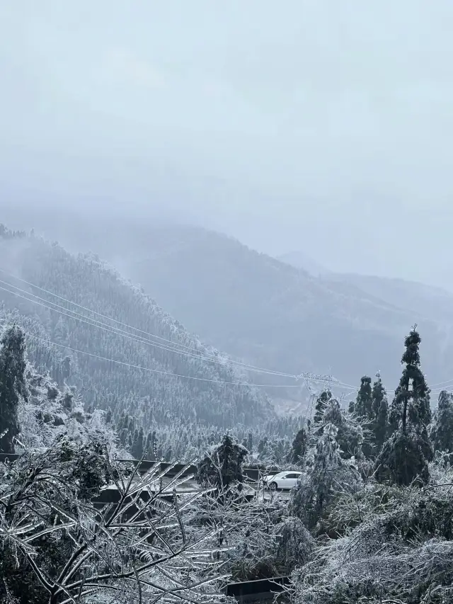 Qingyuan·Jinzi Mountain｜Beautiful ice hangings in Guangdong