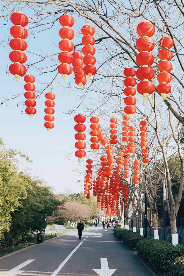 武漢·東湖景區