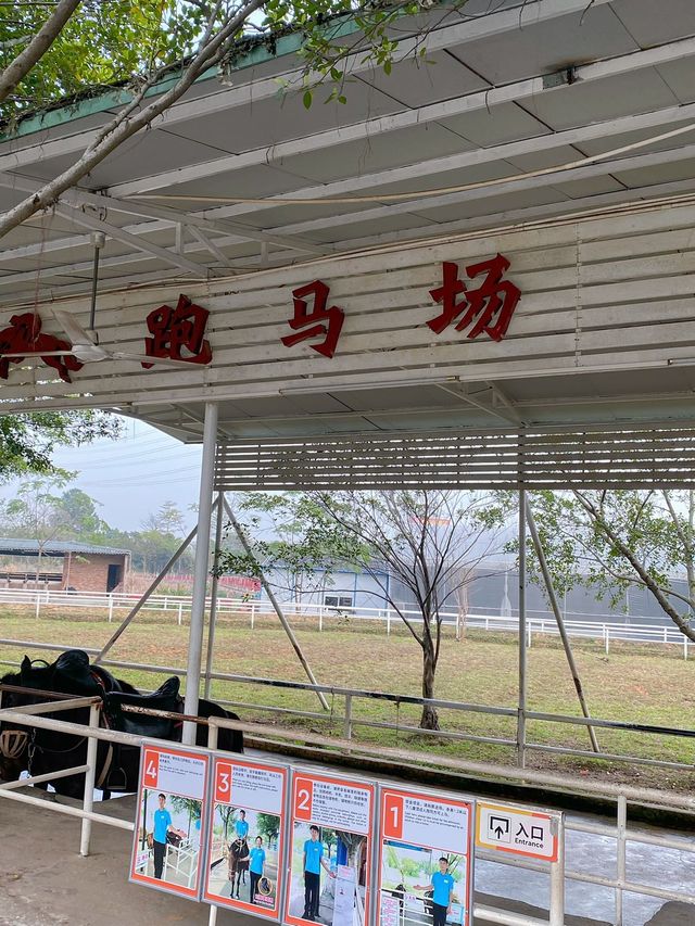 一家人玩轉佛山盈香生態園！絕