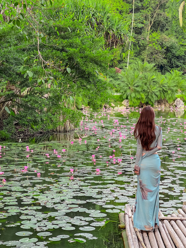 非花期的中科院植物園依然是版納啊～